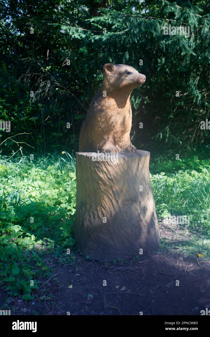 Wooden animal sculpture made by using a chainsaw Stock Photo Alamy