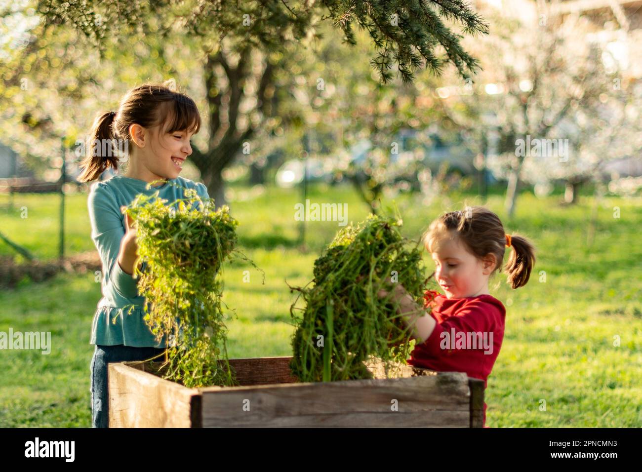 Happy little girls throws the leaves into the wooden compost bin in the