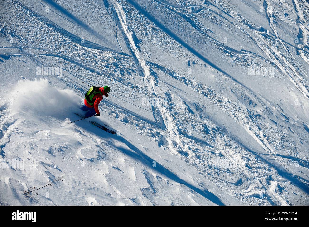 Off-piste ski mountaineering in fresh snow in the Mondole group, Ligurian Alps, Artesina, Cuneo, Piedmont, Italy, Europe Stock Photo