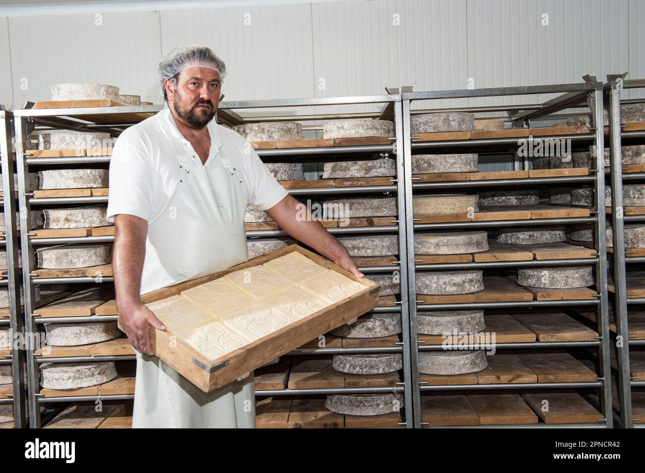 Sant'Antonio Agricultural Cooperative, Dairy company for the production