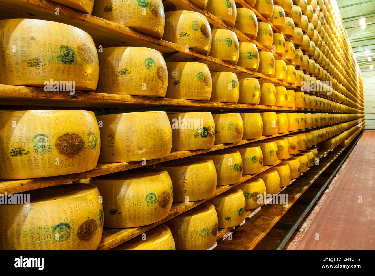 Production of Parmigiano Reggiano cheese at the Hombre dairy, Modena