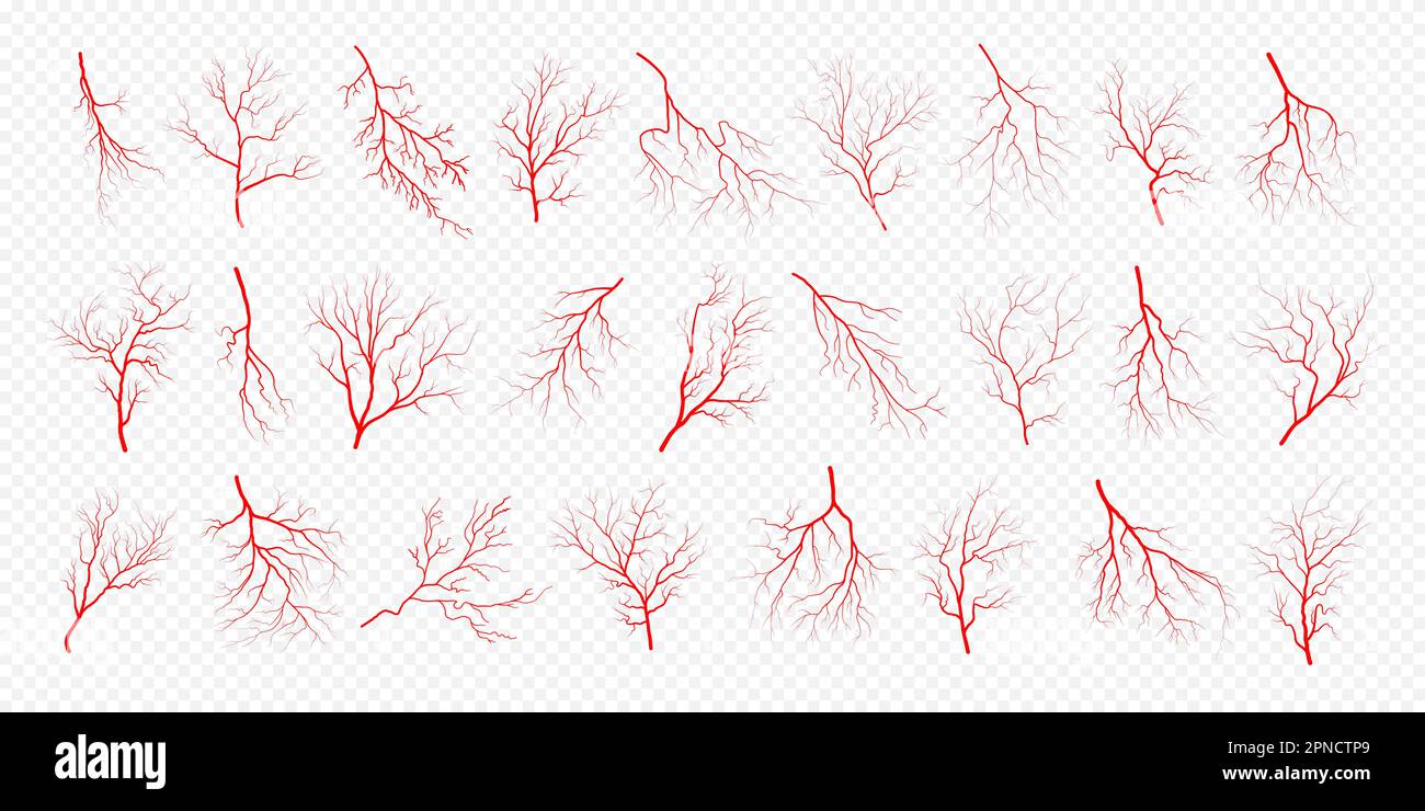Human eye blood veins vessels silhouettes vector illustration set