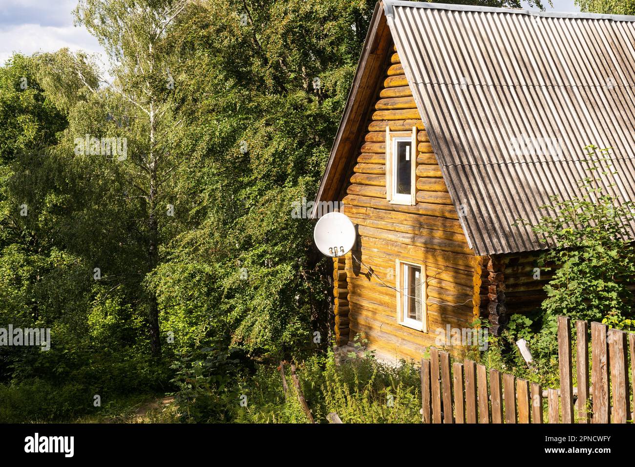 wooden house in the forest Stock Photo - Alamy