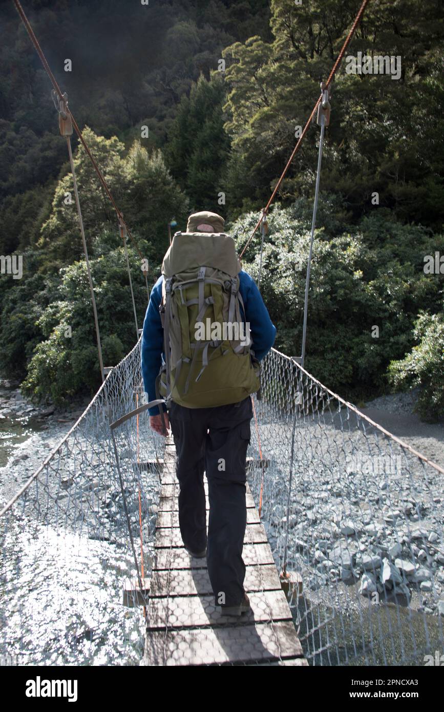 Male hiker crossing a suspension bridge, Milford Track, Fiordland, South Island,New Zealand Stock Photo