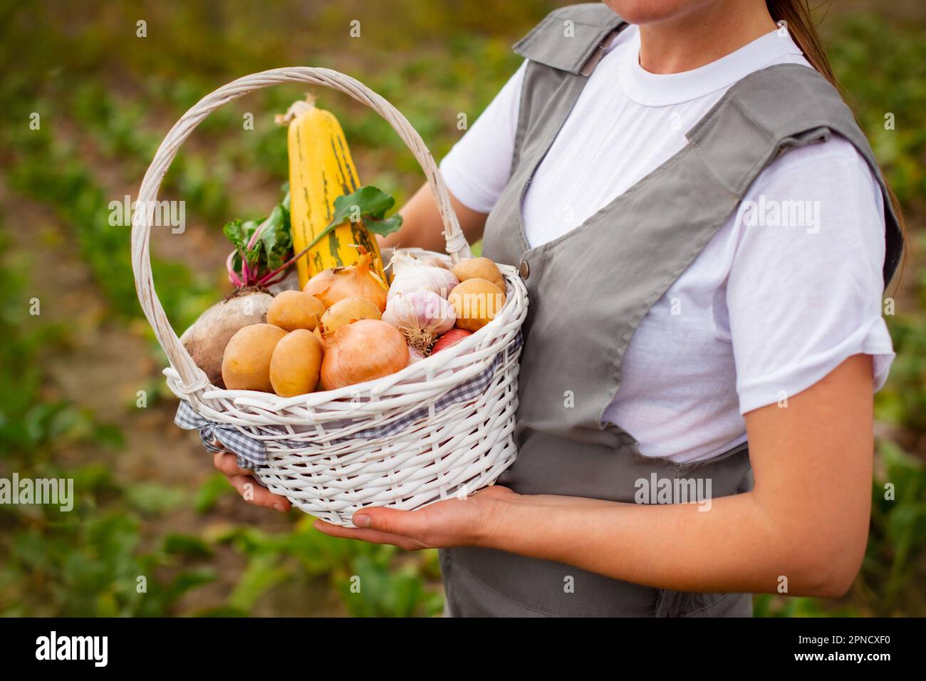 Close up woman holding basket of fresh harvested vegetables in garden ...