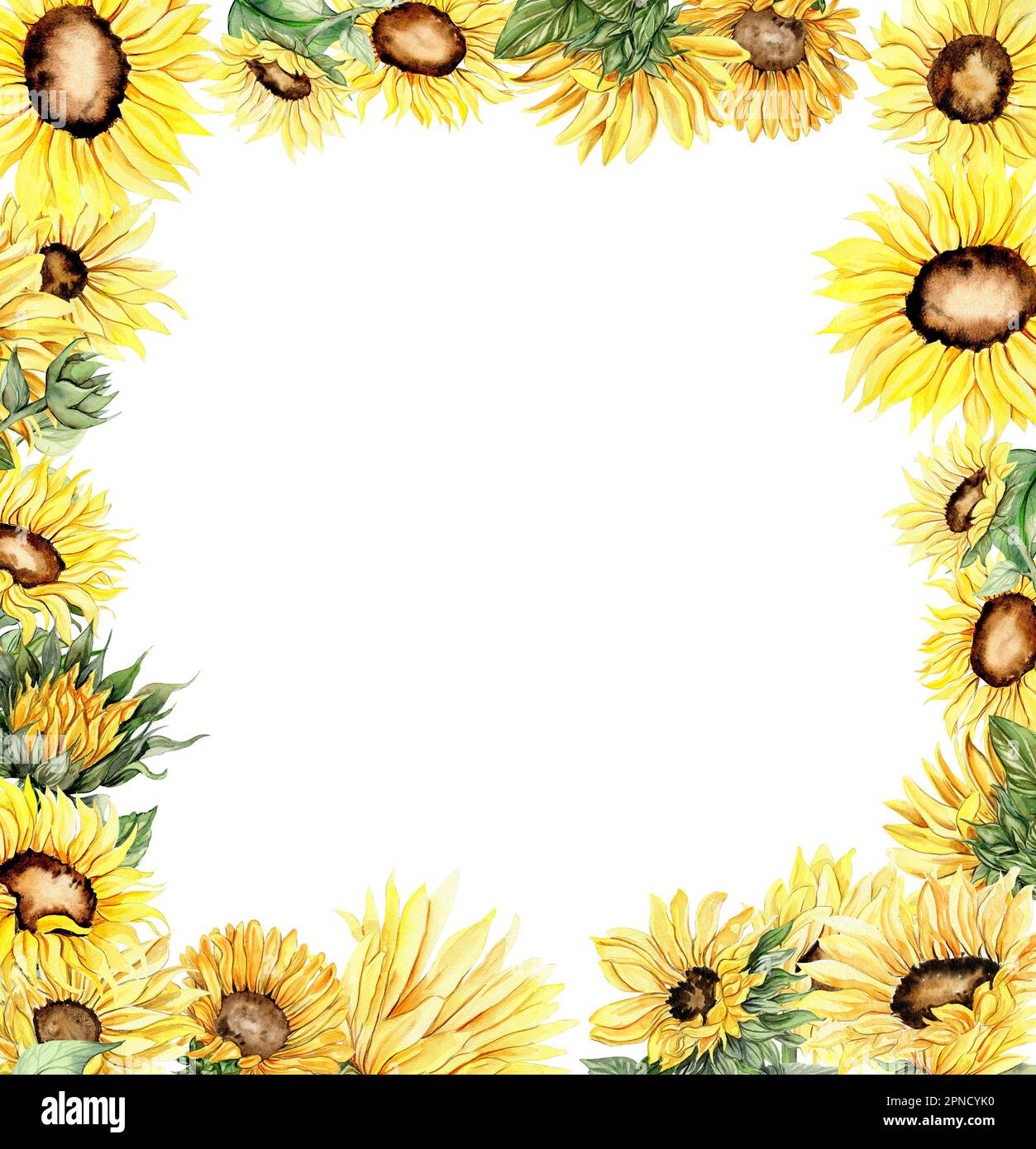 Watercolor hand drawn spring garden full of sunflowers square frame . Watercolor illustration for scrapbooking.Cartoon hand drawn background with flow Stock Photo