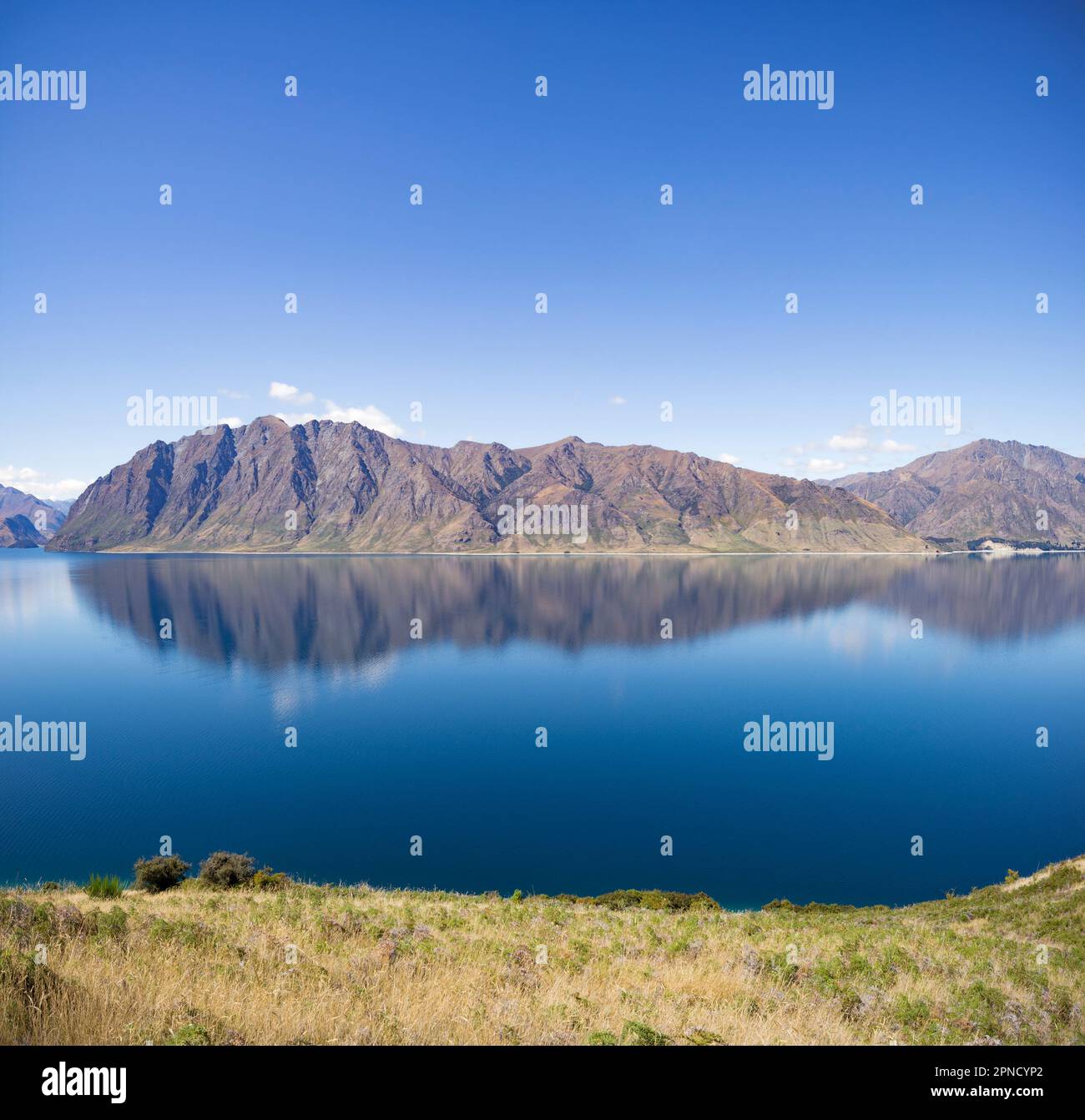 Lake Hawea, South Island, New Zealand Stock Photo - Alamy