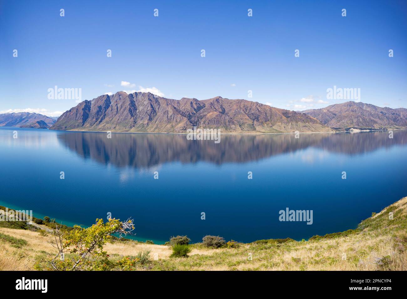 Lake Hawea, South Island, New Zealand Stock Photo - Alamy