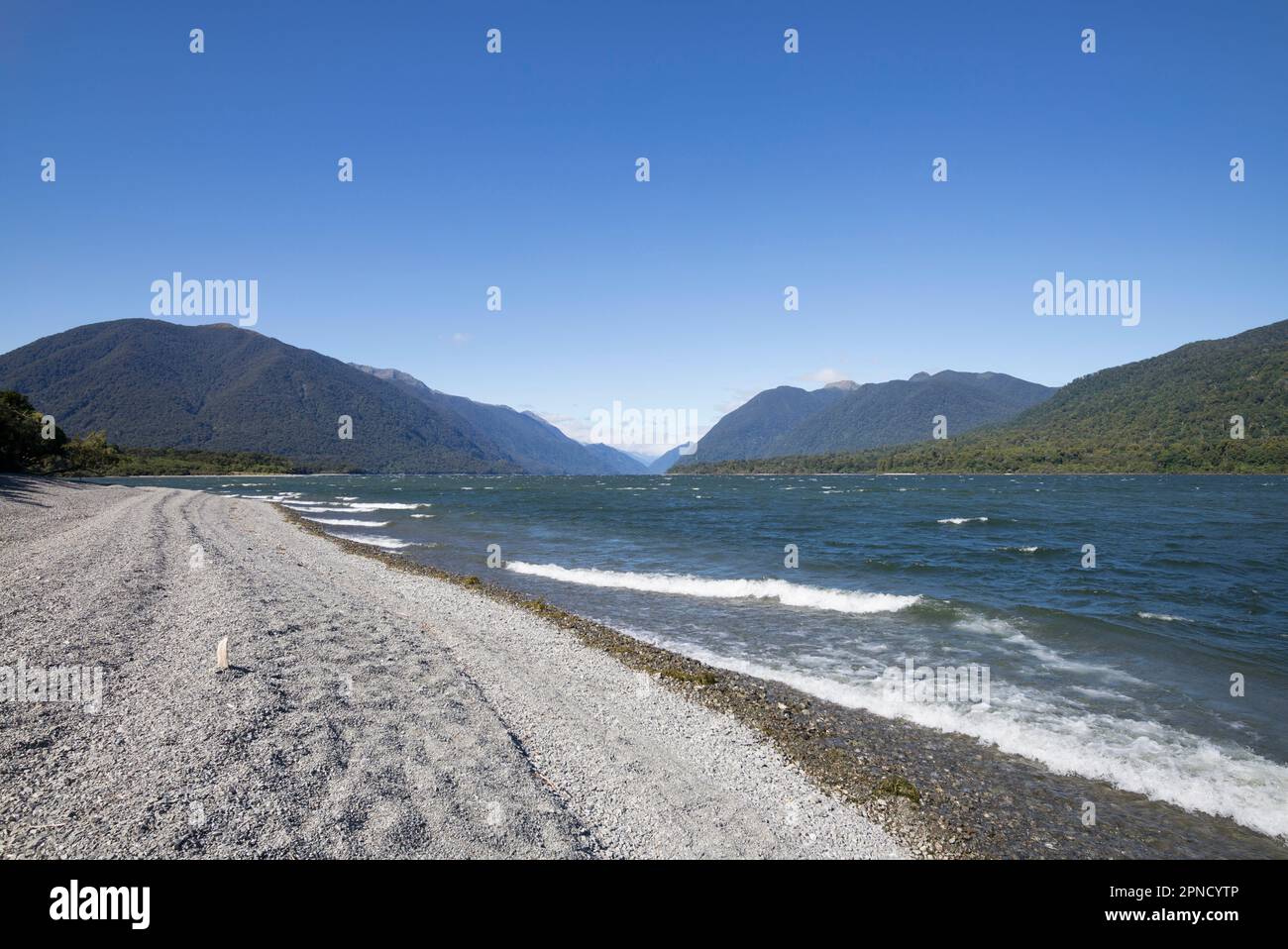 The wilderness landscape of martins Bay, Fiordland, South Island, New Zealand. Stock Photo