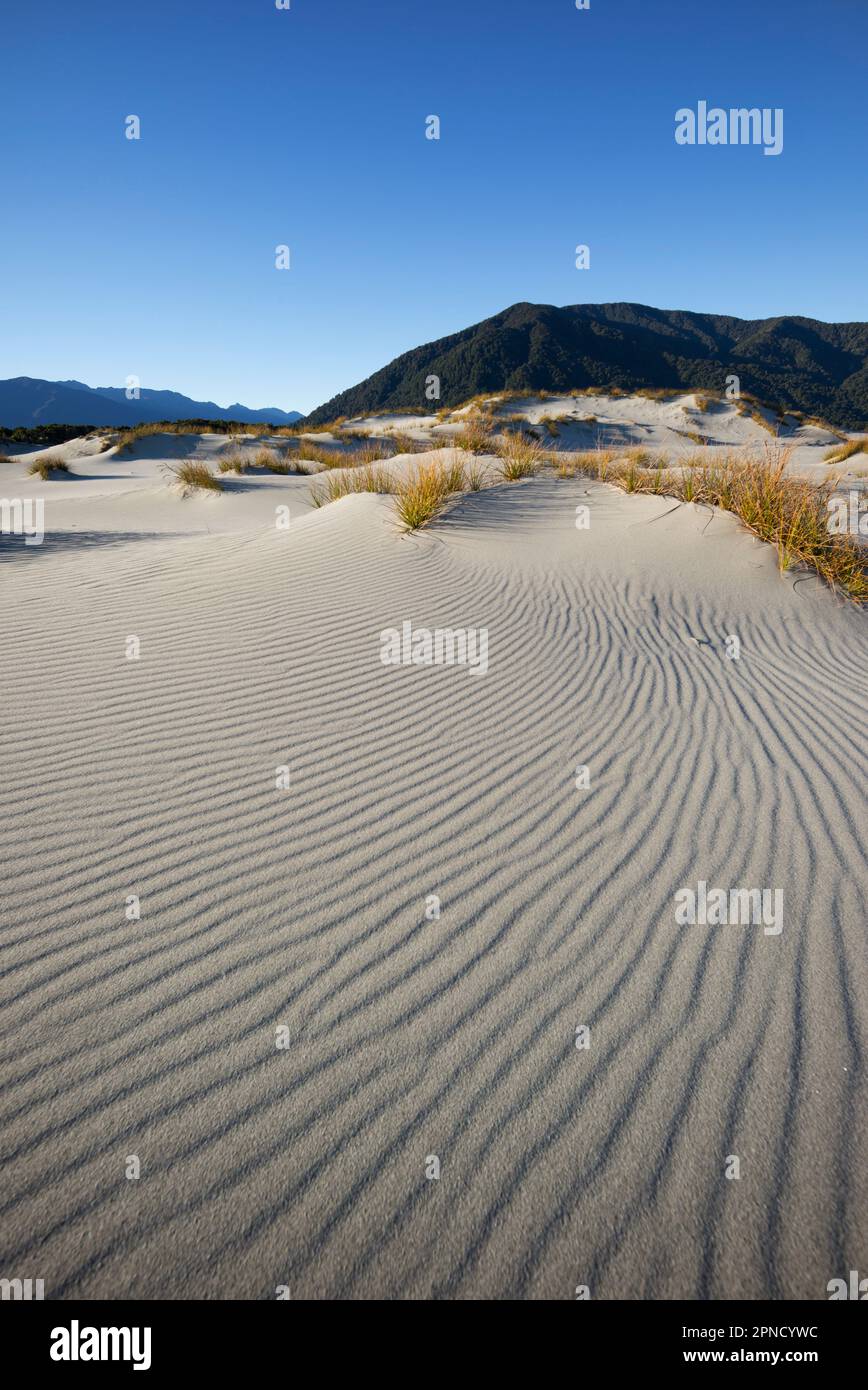 The wilderness landscape of martins Bay, Fiordland, South Island, New Zealand. Stock Photo