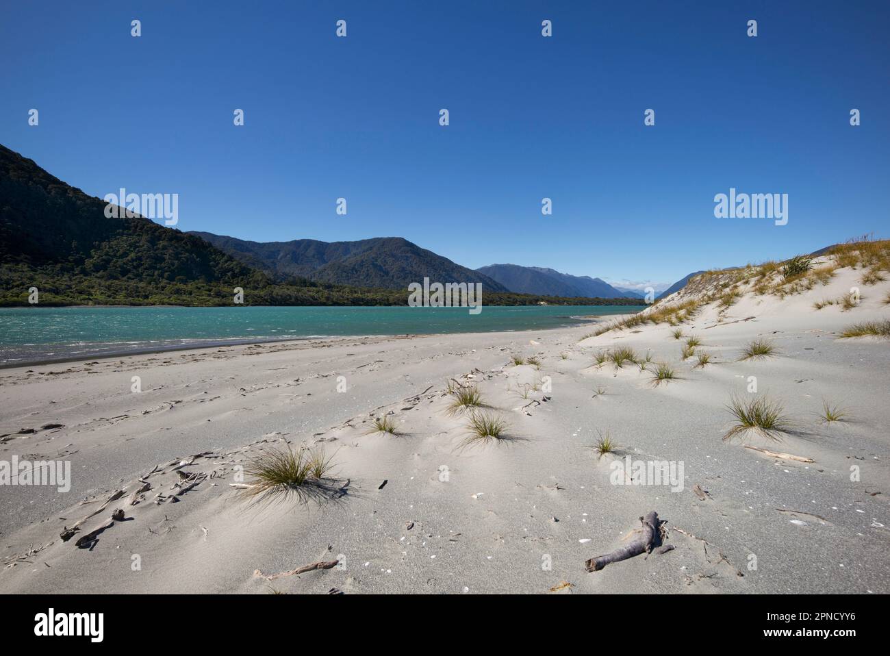 The beautiful wilderness landscape of Martins Bay in Fiordland, South Island, New Zealand Stock Photo