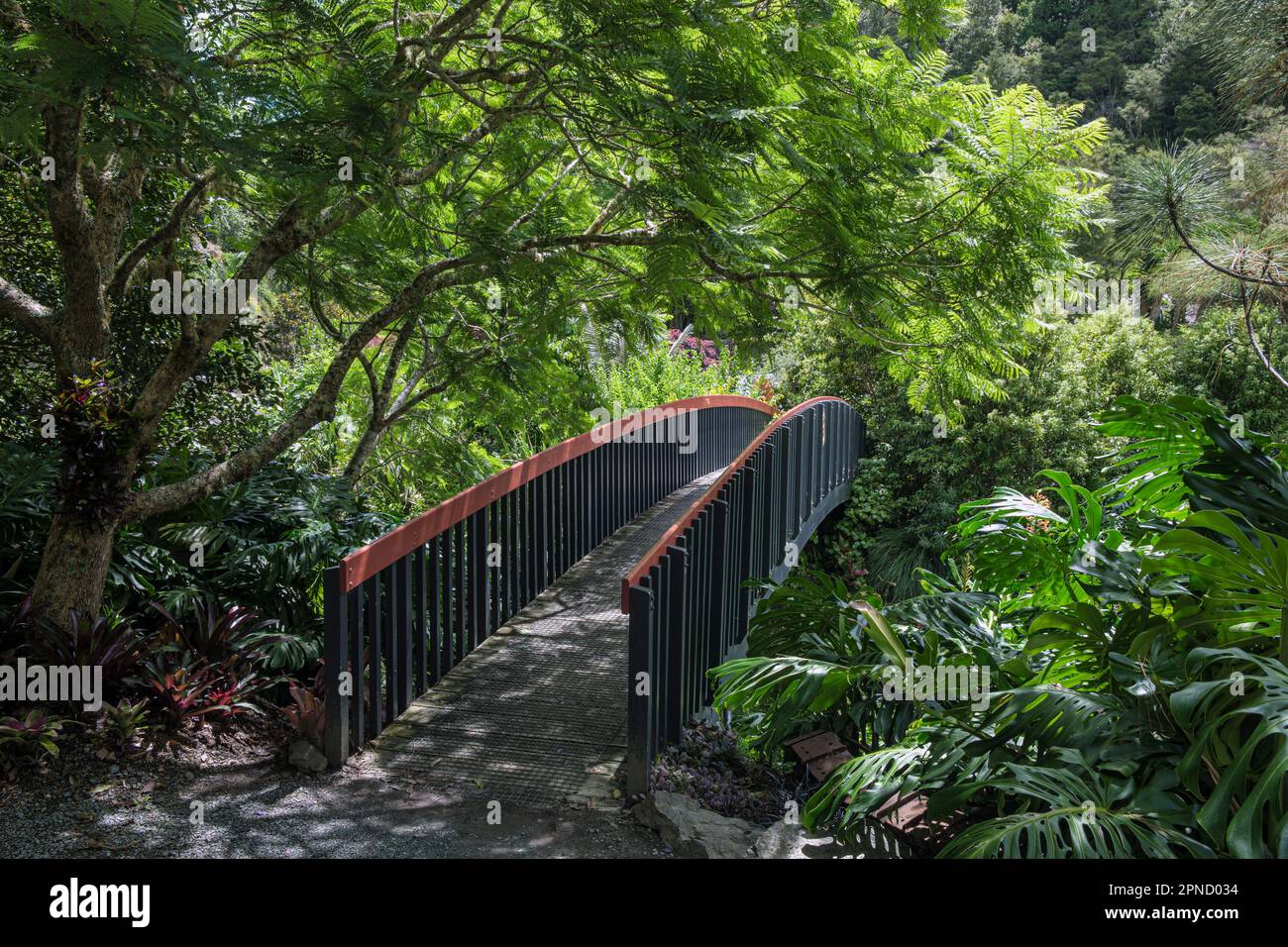 Whangarei Quarry Gardens, North Island, New Zealand Stock Photo Alamy