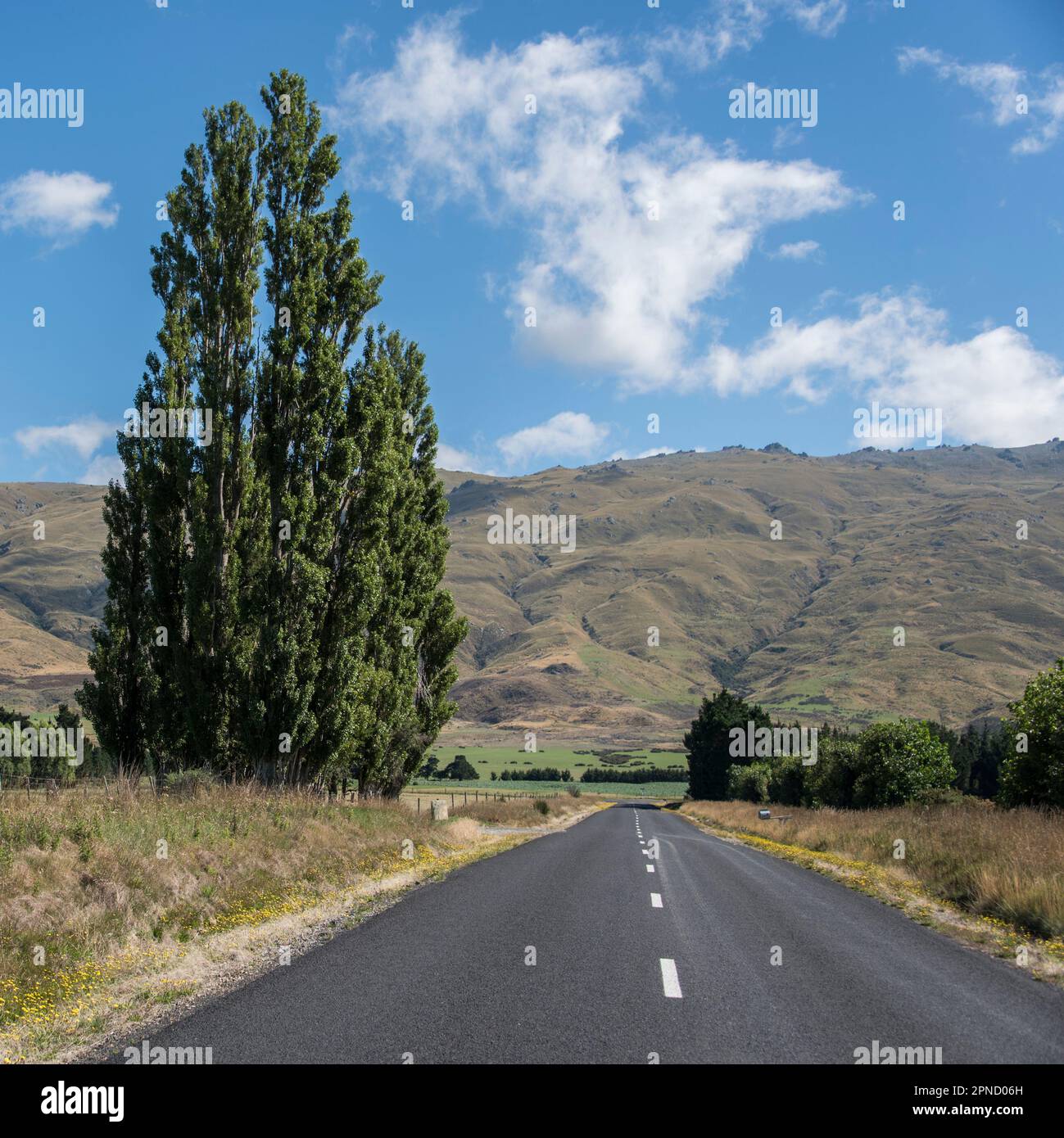 The road to Middlemarch, Otago, South Island, New Zealand Stock Photo