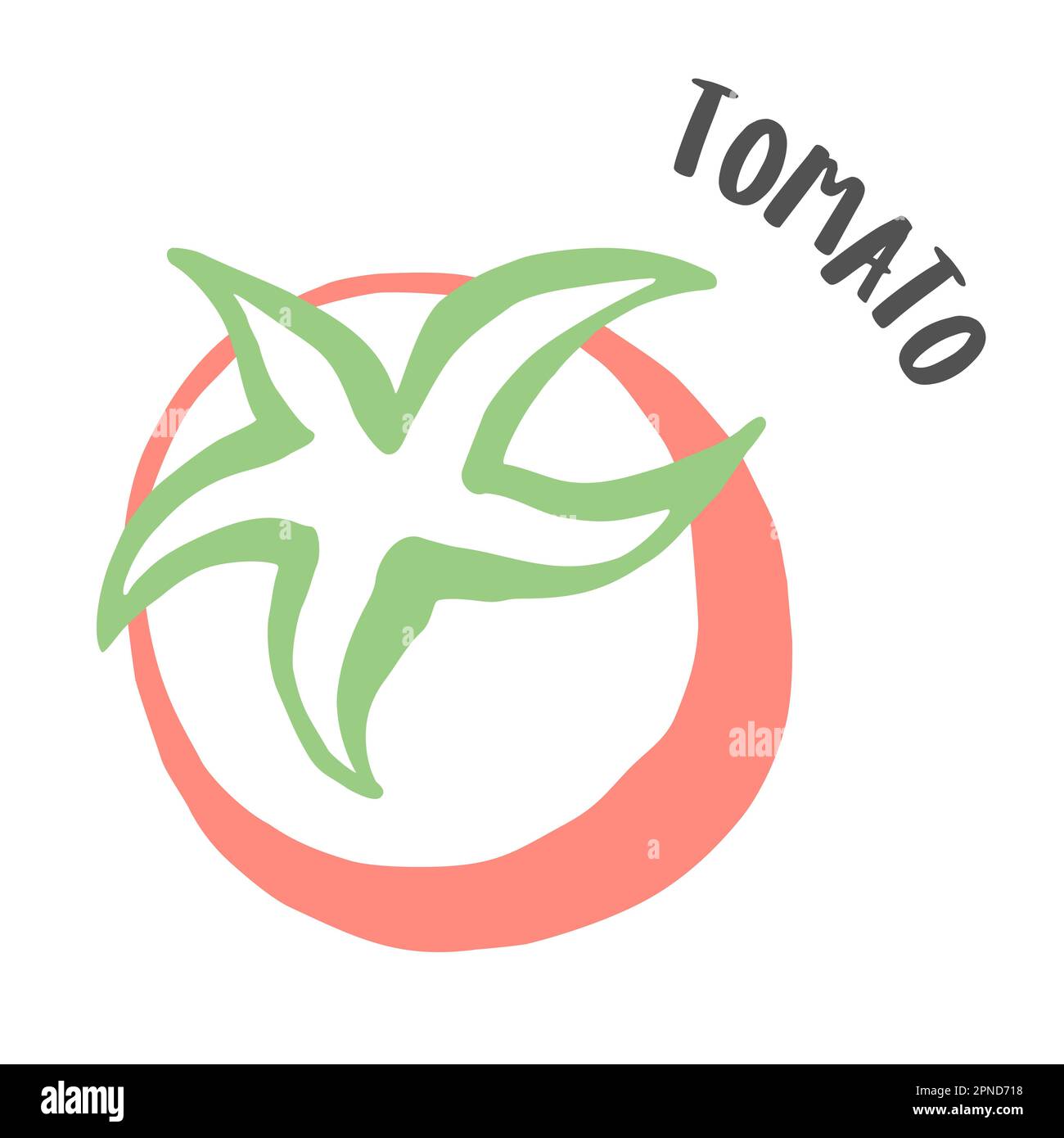 Tomato drawing hand painted with ink brush isolated on white background