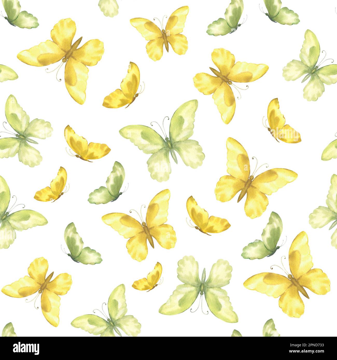Cute butterflies hand drawn watercolor seamless pattern. Delicate ...
