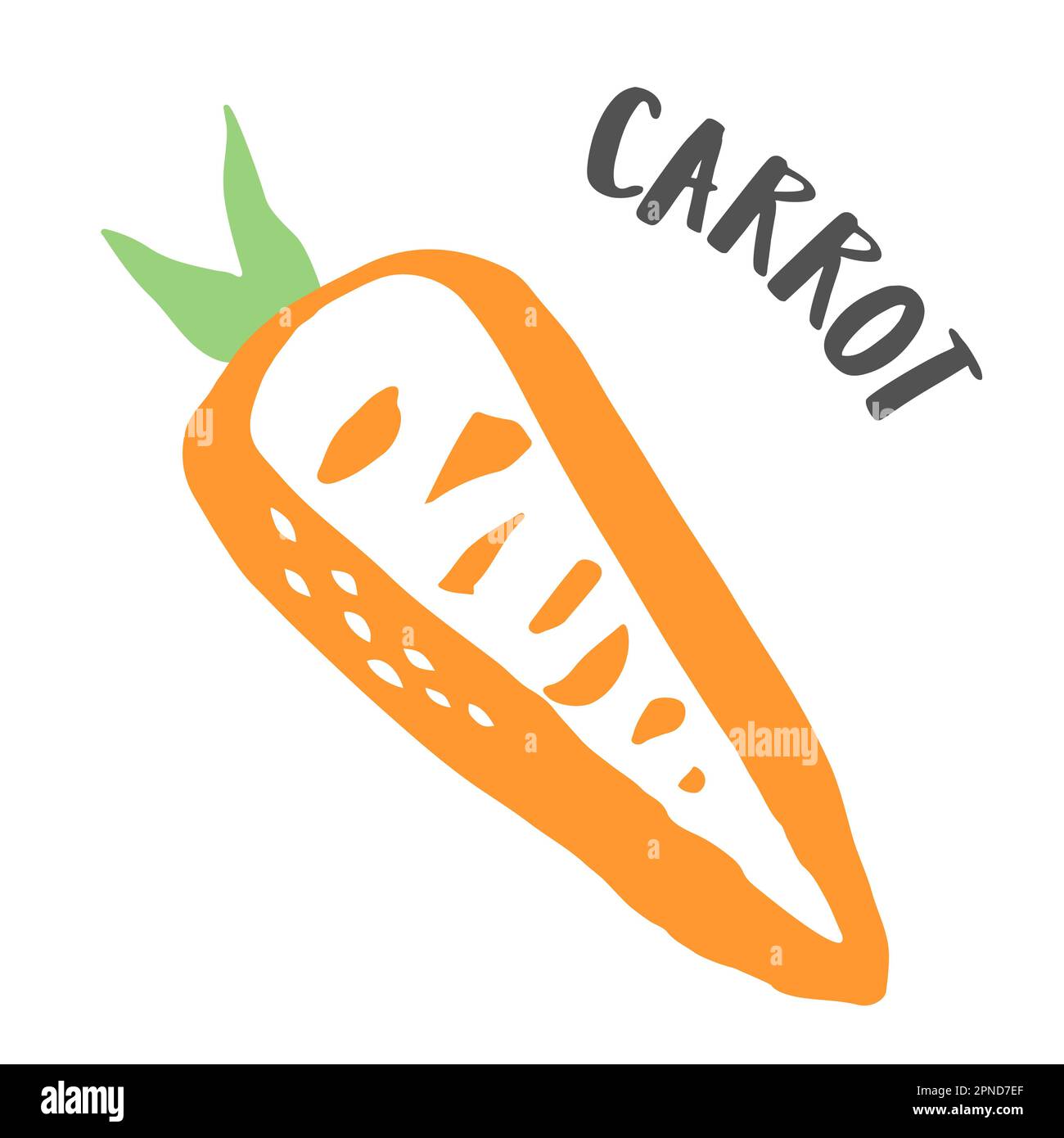 Carrot drawing hand painted with ink brush isolated on white background