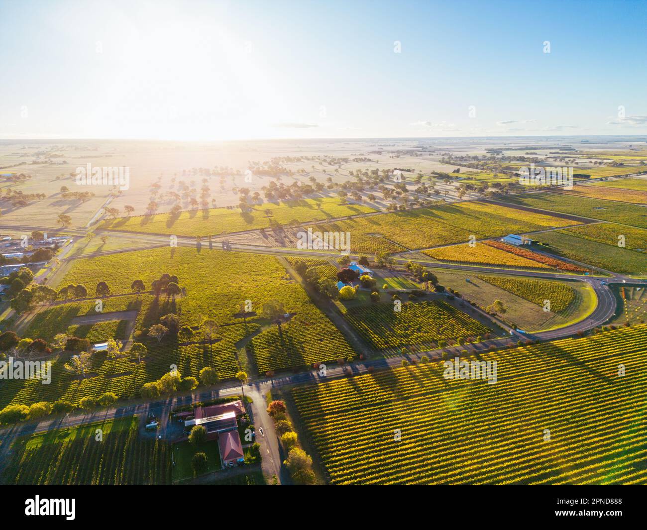 Coonawarra Landscape near Penola in Australia Stock Photo