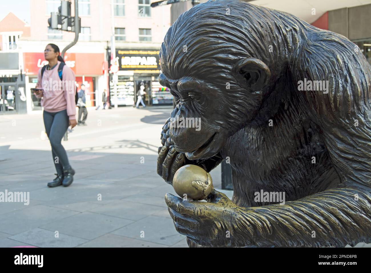 flick, a bronze sculpture by gillie and marc, depicting a foraging wild chimp, in kingston upon thames, surrey, england , Stock Photo