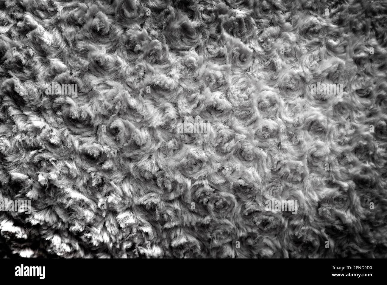 Detail of fabric swirl pattern cotton texture soft Stock Photo