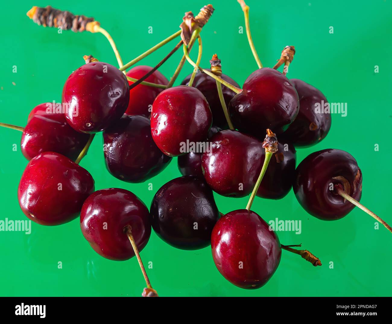 Ripe cherries on a solid background, healthy vegetarian food. Beautiful ...
