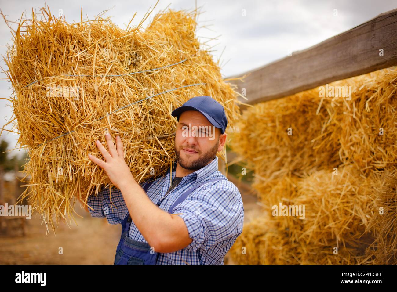 Carrying bales of hay hi-res stock photography and images - Page 2
