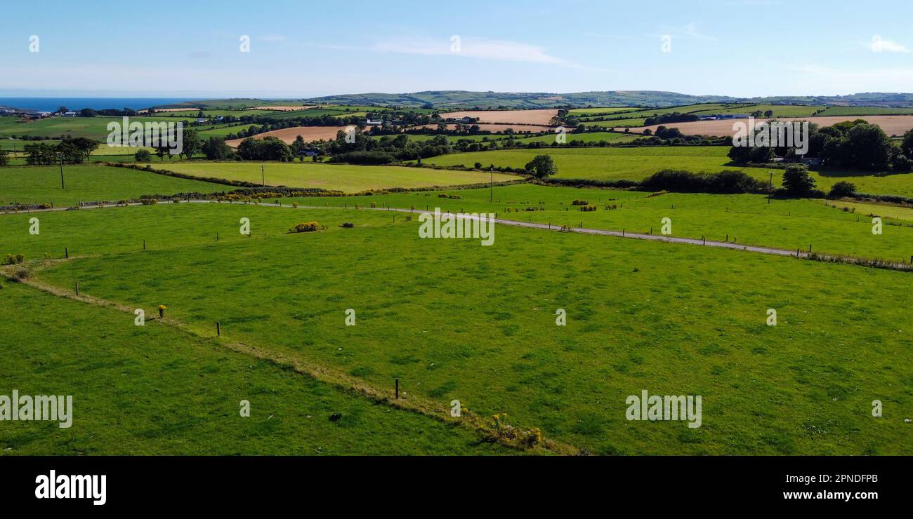 Green farm fields separated by shrubs, top view. Cattle pastures in the south of Ireland. Agricultural landscape, nature. Green grass field Stock Photo