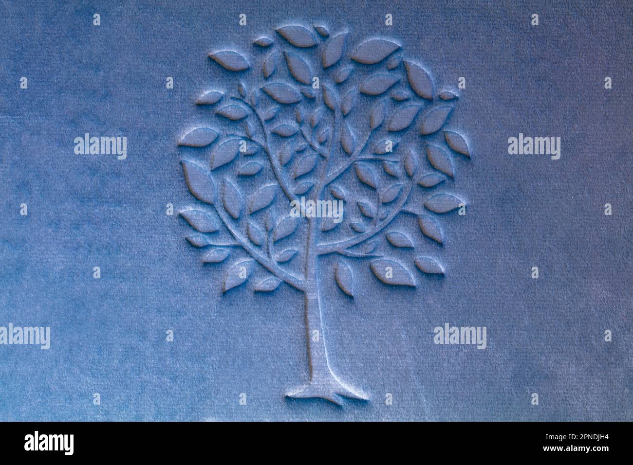 https://c8.alamy.com/comp/2PNDJH4/tree-imprint-on-blue-velour-textured-fabrick-for-design-purpose-2PNDJH4.jpg