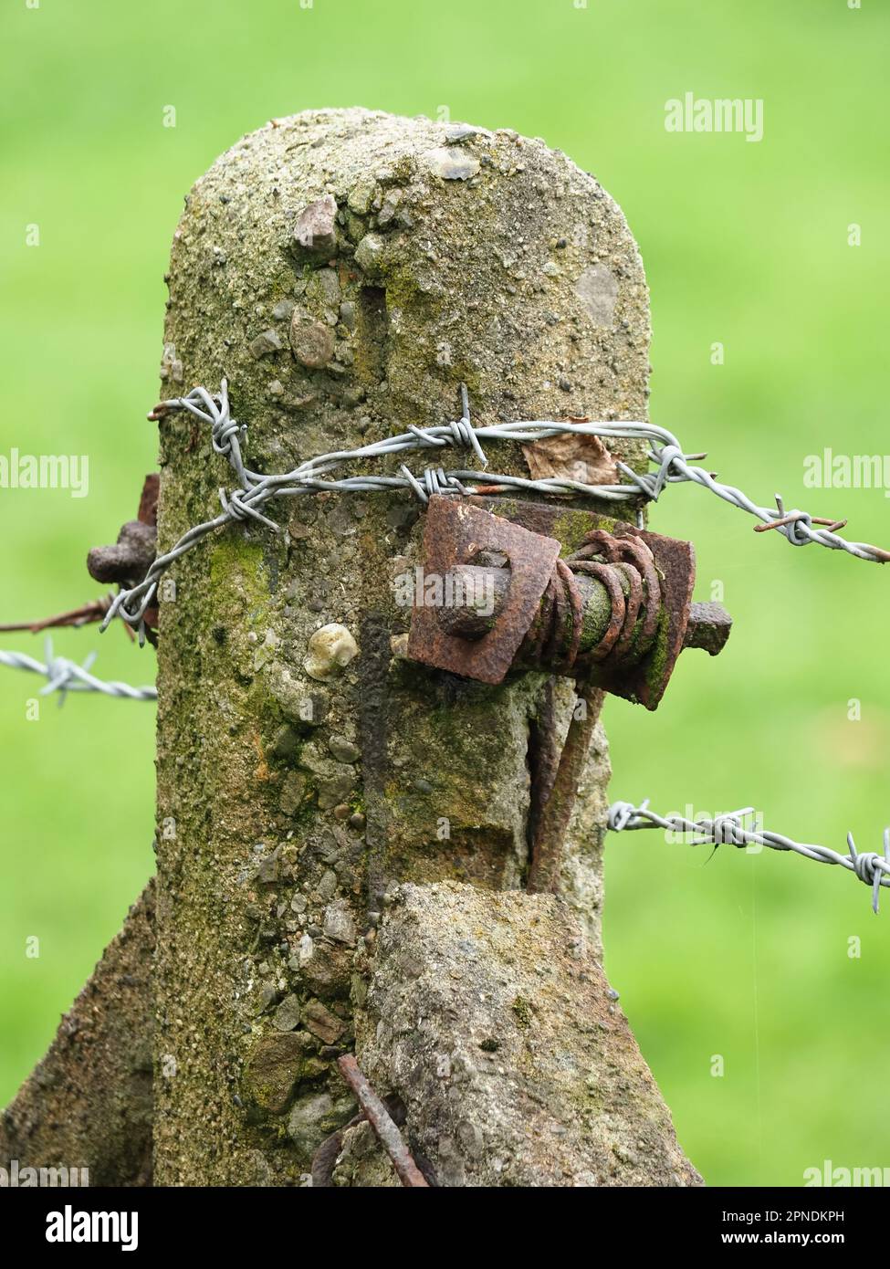 Wrapped wire fencing discount