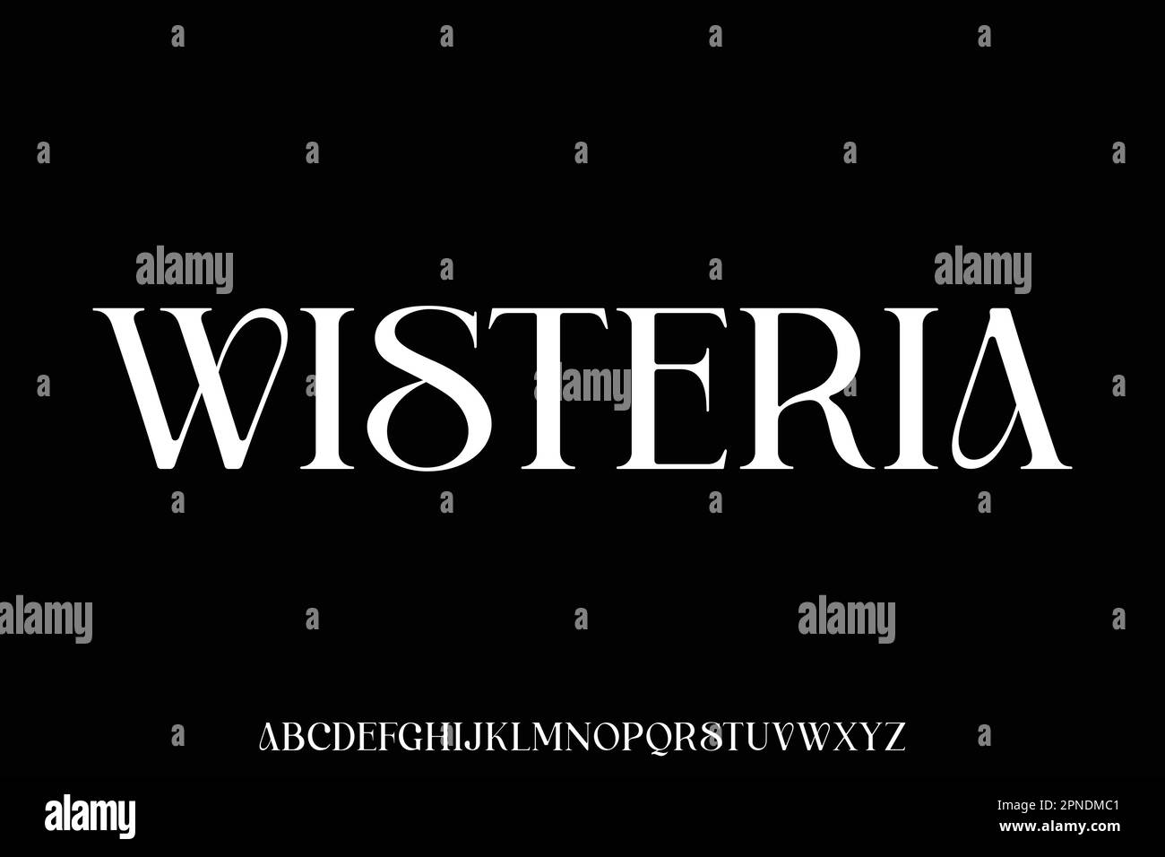Unique and elegant alphabets display font vector illustration Stock Vector