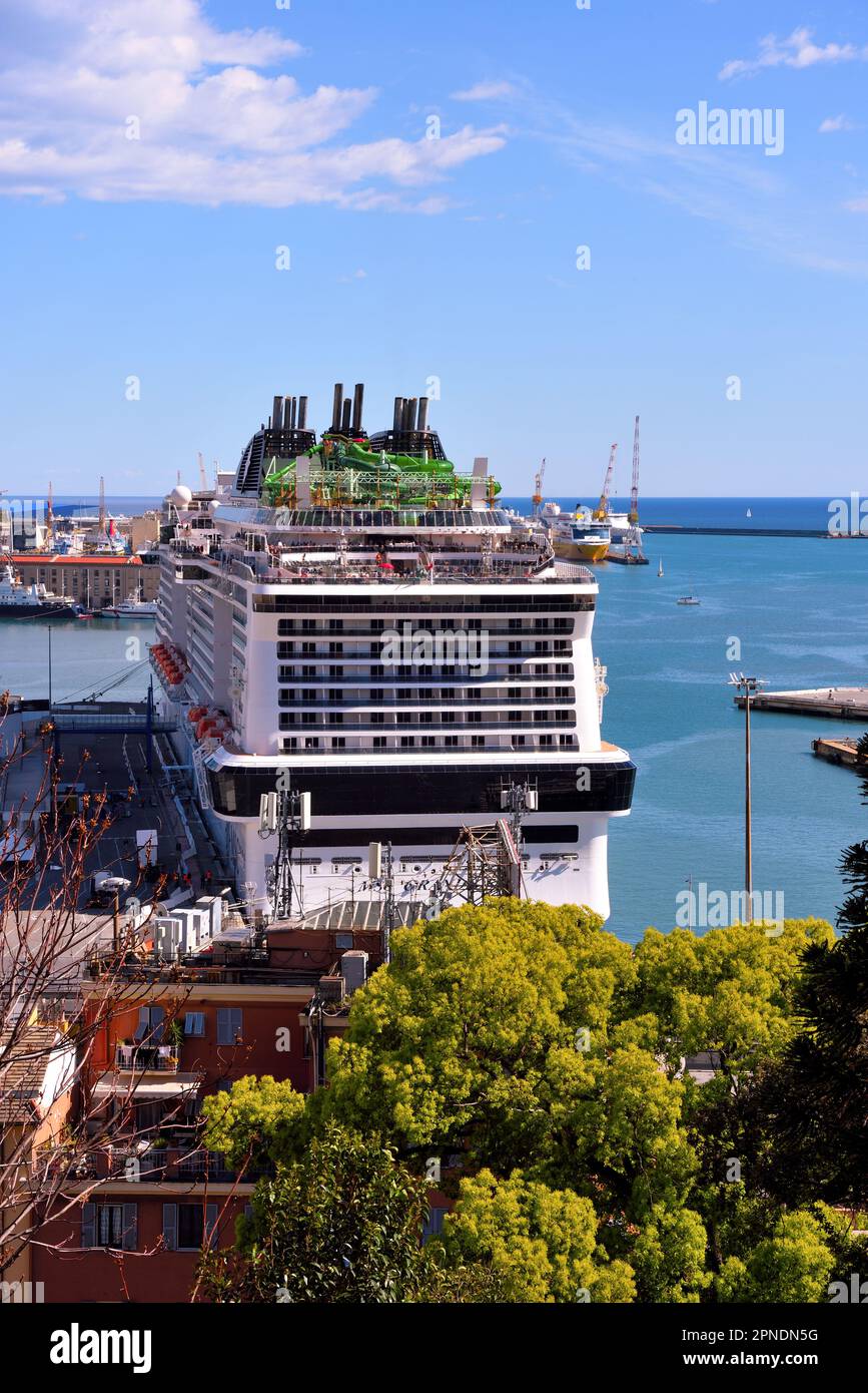 【干場義雅 監修】 PATRICK CRUISE LINE GENOVA 干場義雅 監修】 PATRICK CRUISE LINE GENOVA