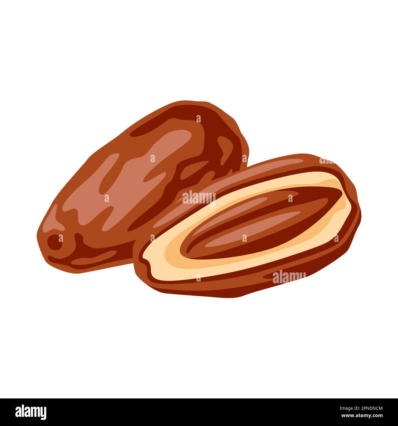 Illustration of dates fruits. Tropical vegetarian food for healthy