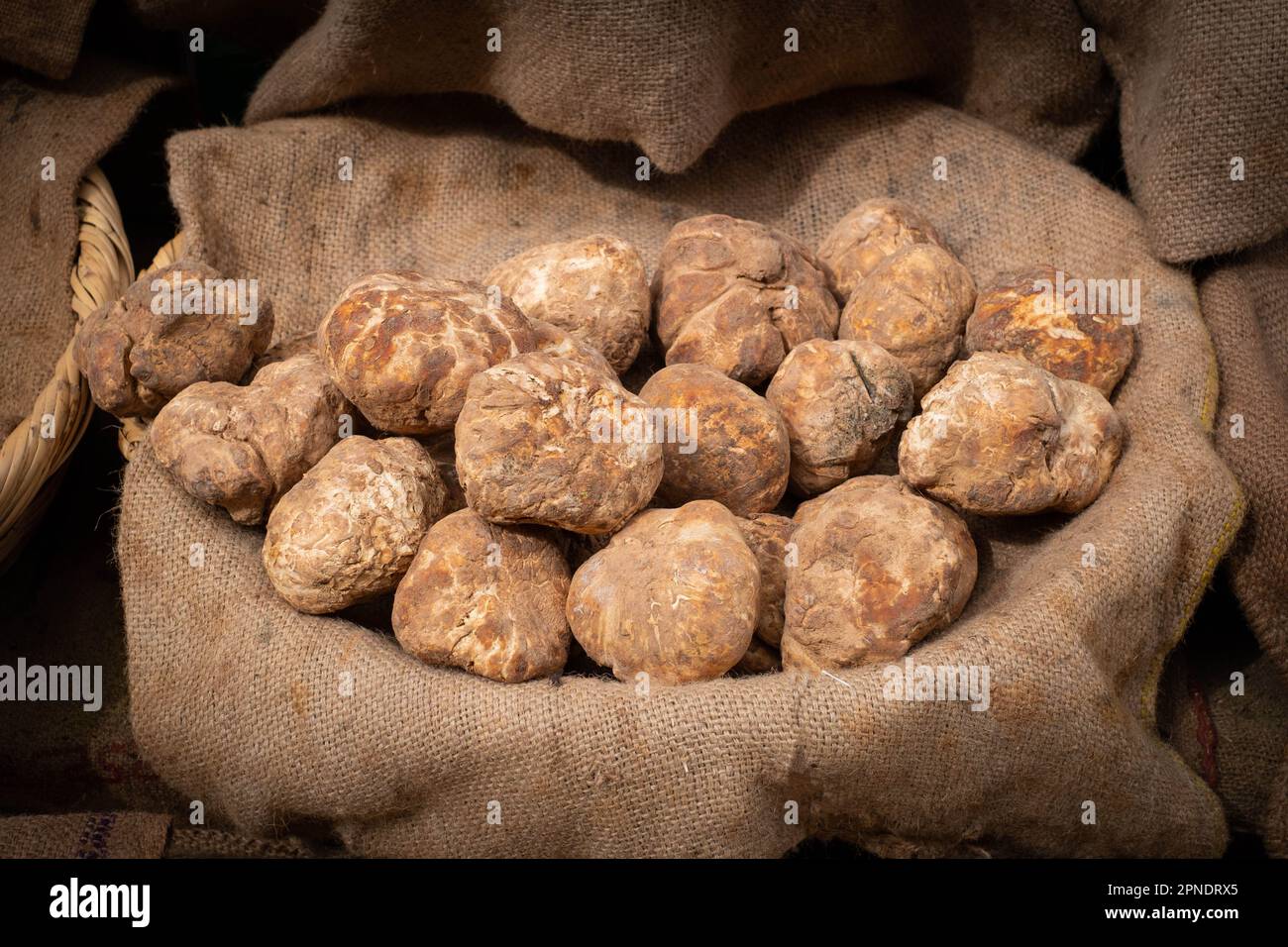 truffle, pile of truffles on farmers market Stock Photo