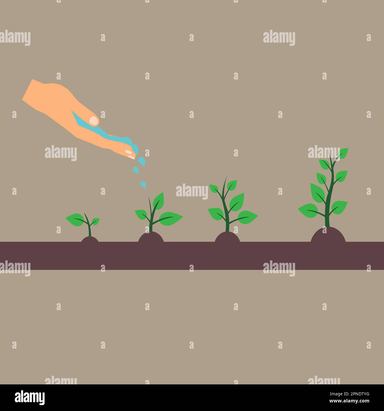Hand watering plants of different sizes Stock Vector