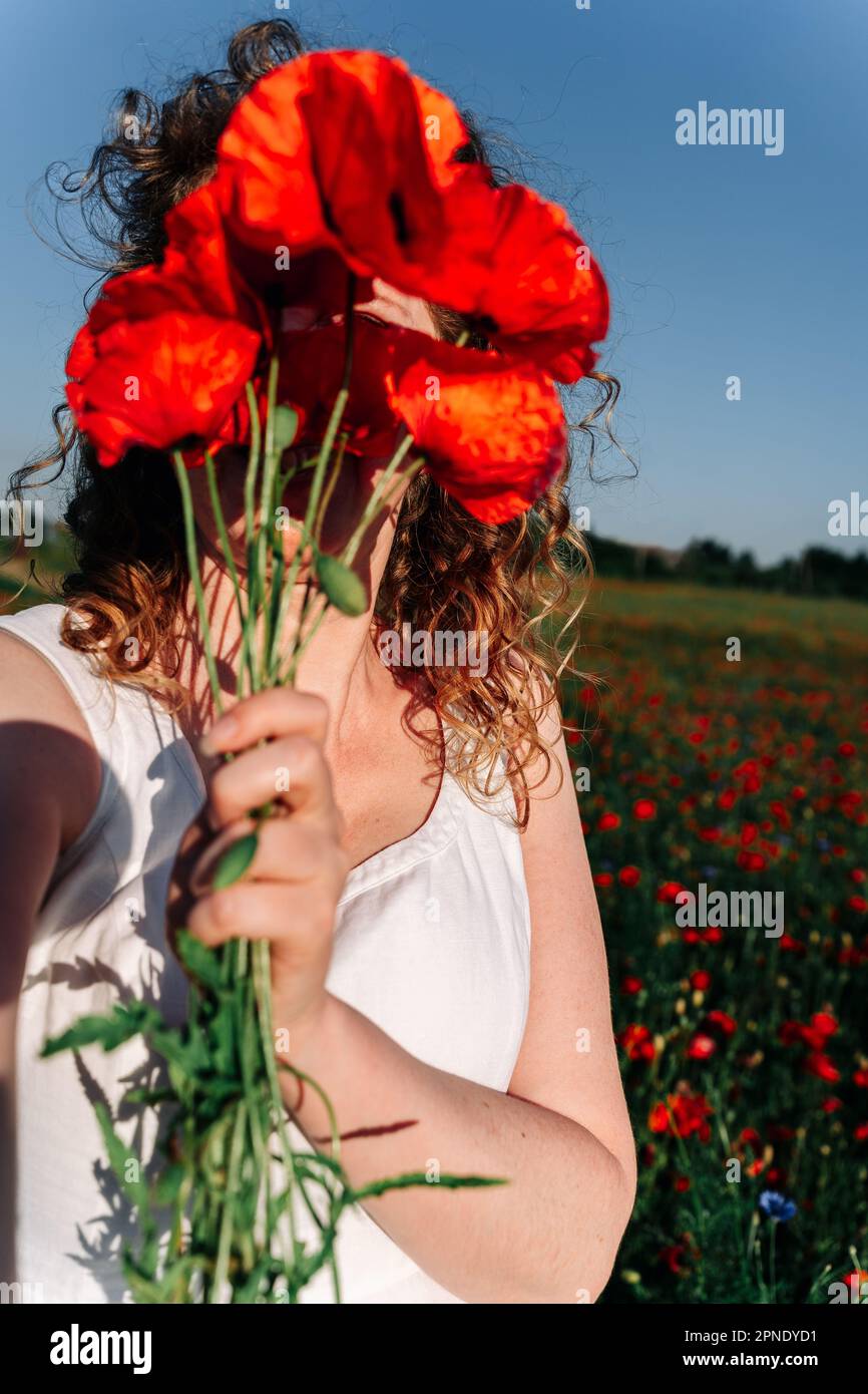 Selfie of a curly red-haired woman covering her face with a bunch of red field poppies among a poppy field. Stock Photo