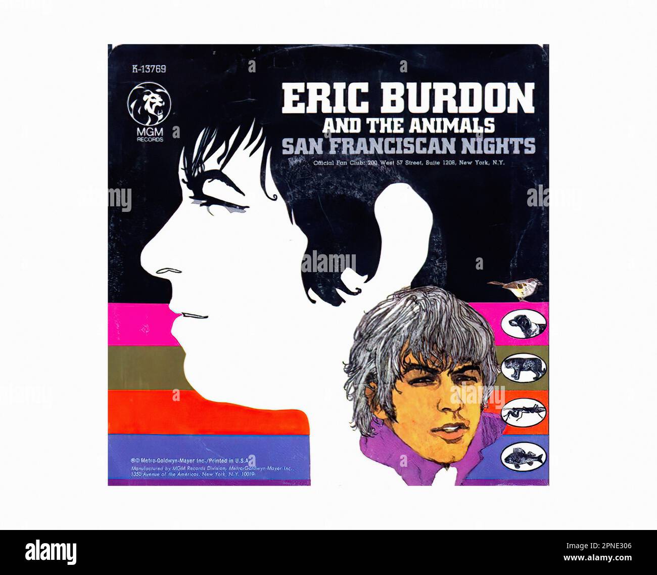 Animals and p Cut Out Stock Images & Pictures - Alamy