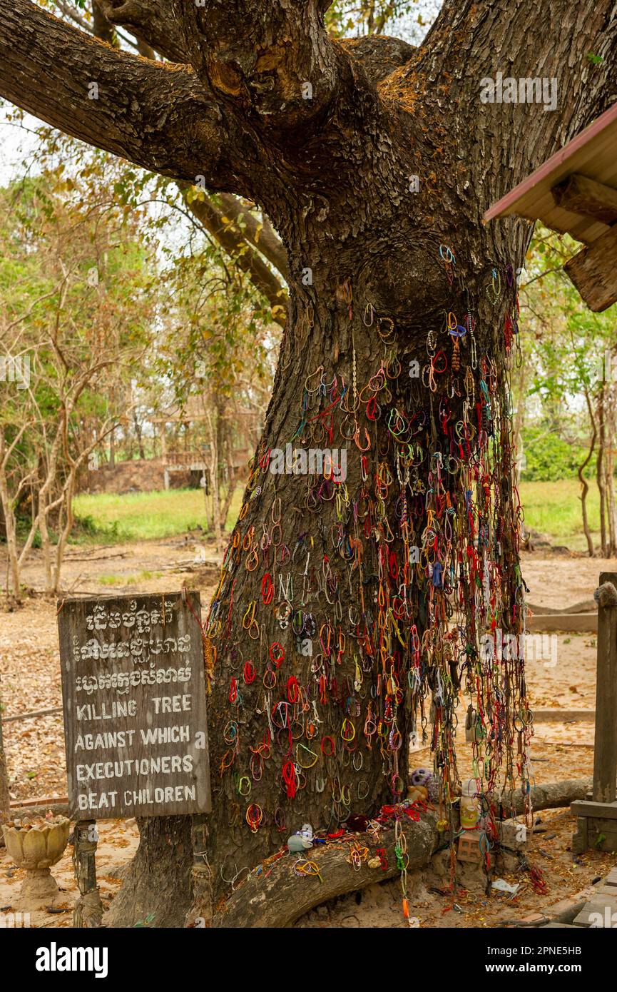 The Killing tree at the Cheung Ek Genocidal Center, Phnom Penh, Cambodia Stock Photo