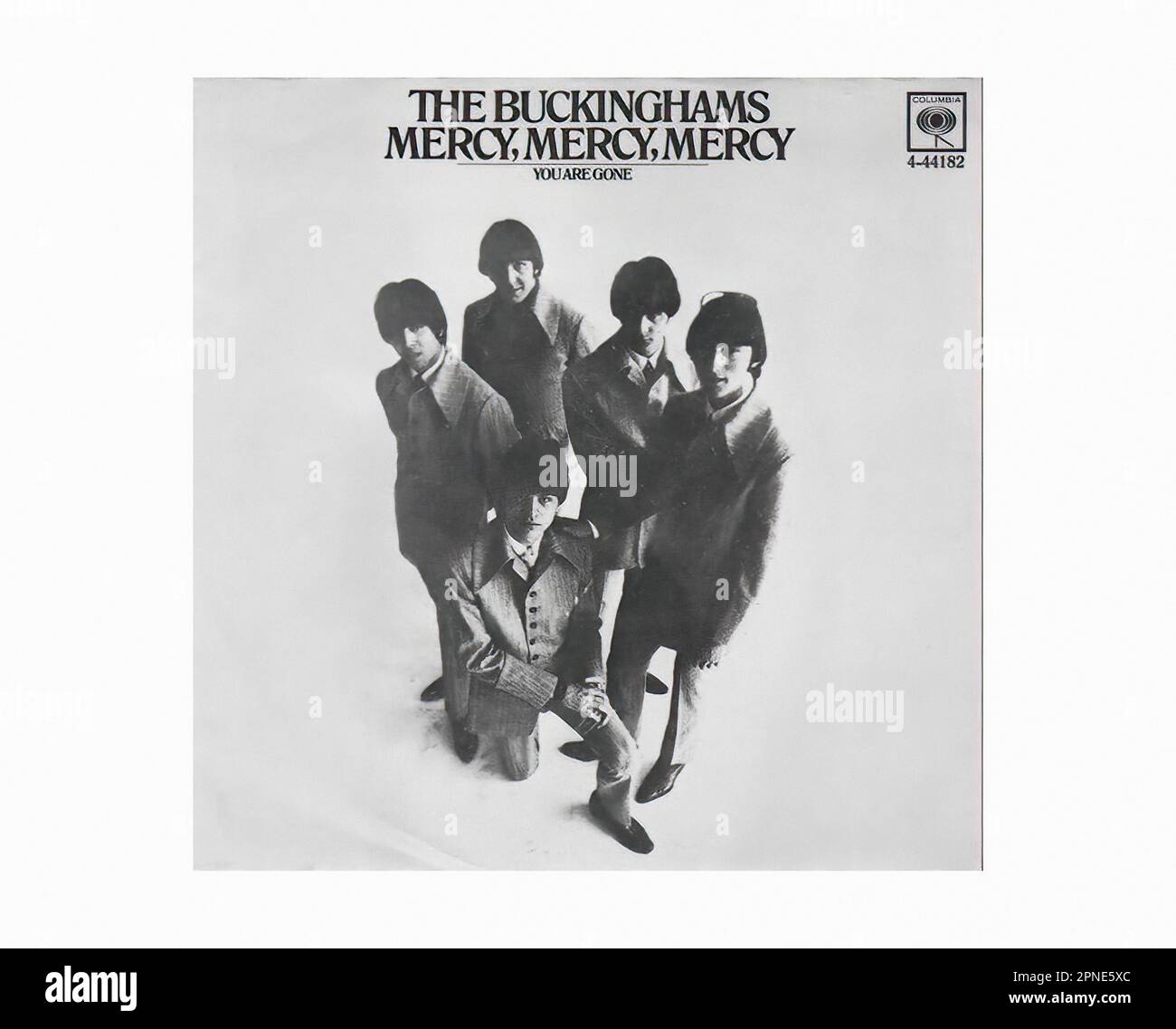 The buckinghams hi-res stock photography and images - Alamy