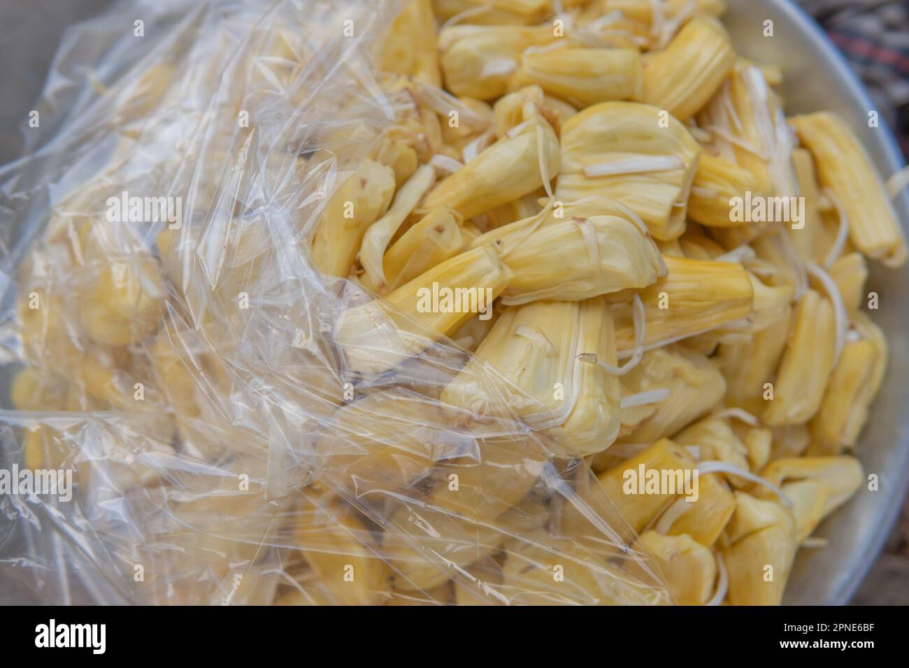 Jackfruit that is ripe and semi-closed with a clear plastic cover and ready to be sold is yellow in colour. Stock Photo