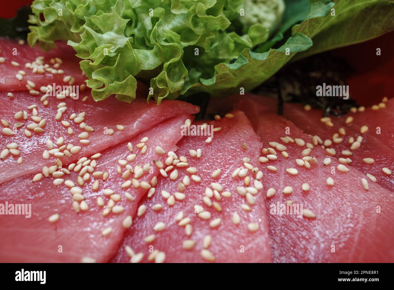 Close up view, Maguro Don, Japanese Sliced Raw tuna rice bowl Stock