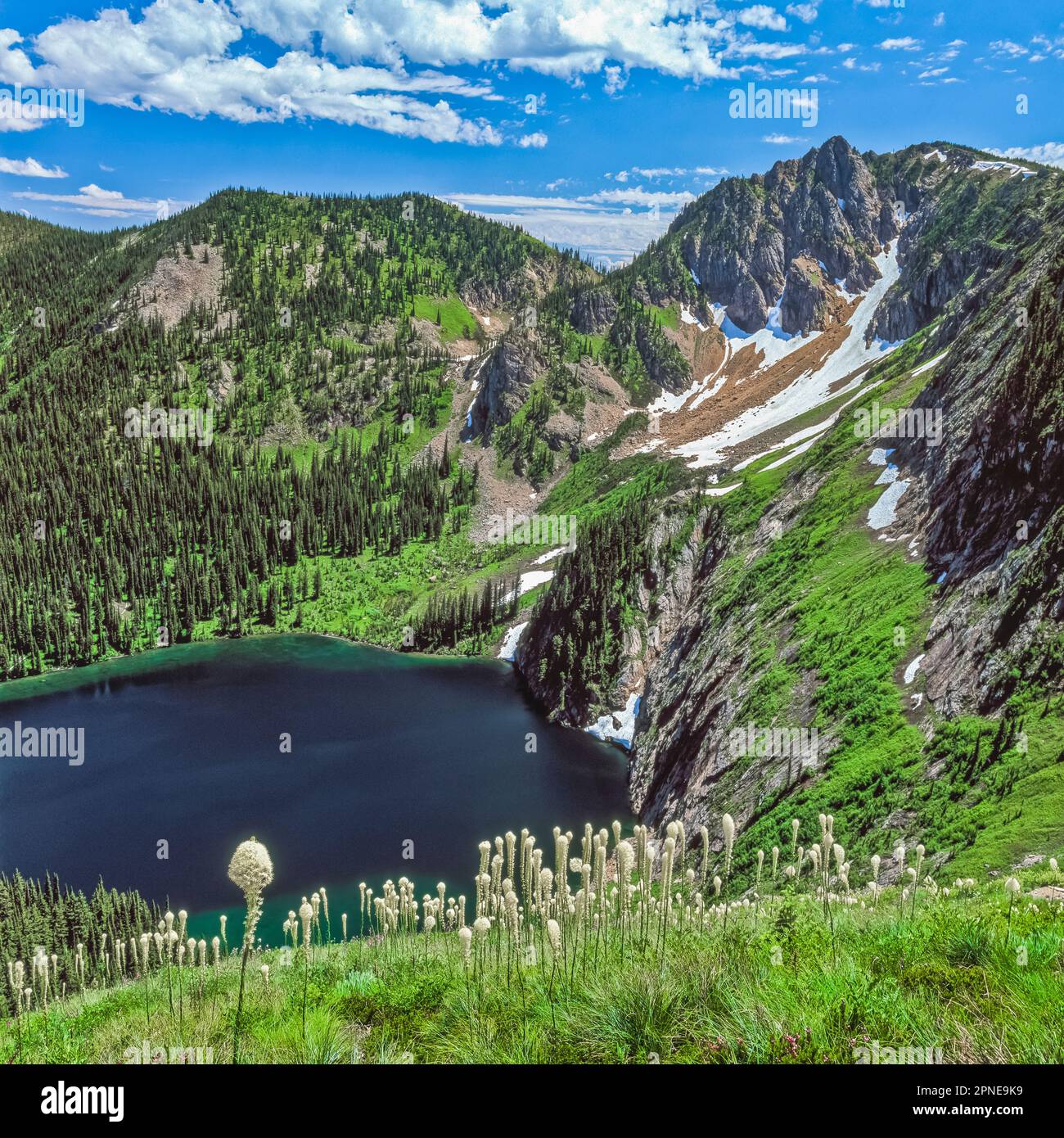 beargrass in bloom above cliff lake below eagle cliff in the bitterroot