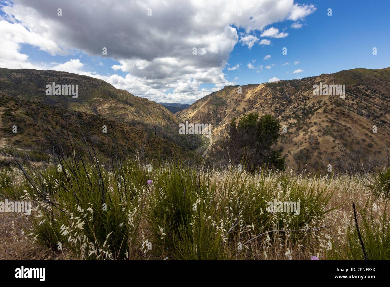 Capay Valley Mountains Stock Photo