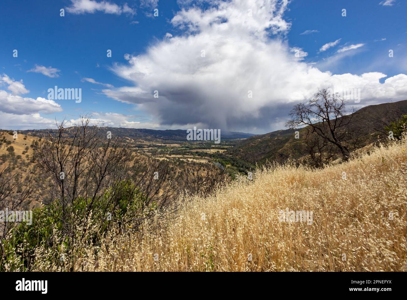 Capay Valley Mountains Stock Photo