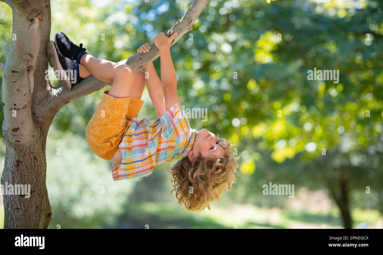 Child on a tree. Insurance kids. Health care insurance concept for kids. Medical healthcare protection. Kid playing hanging and climbing from tree at Stock Photo