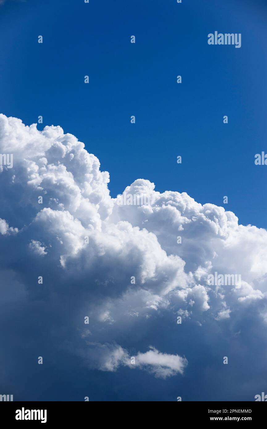Pictured: Stormy clouds set against a bright blue sky Stock Photo - Alamy