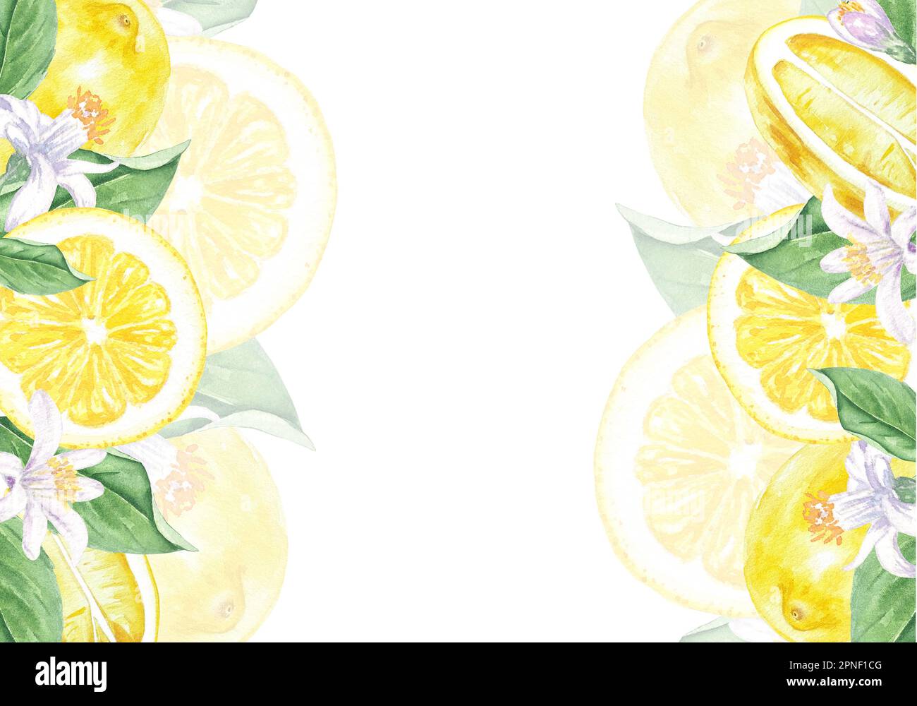 Watercolor illustration frame of lemons, leaves and flowers, hand drawn ...
