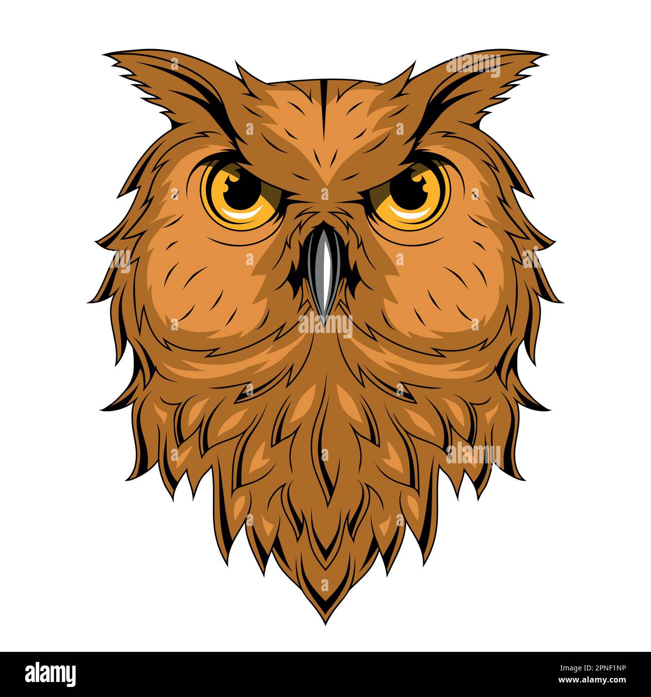 owl-vector-illustration-of-a-bird-nocturnal-birds-of-prey-with-hawk