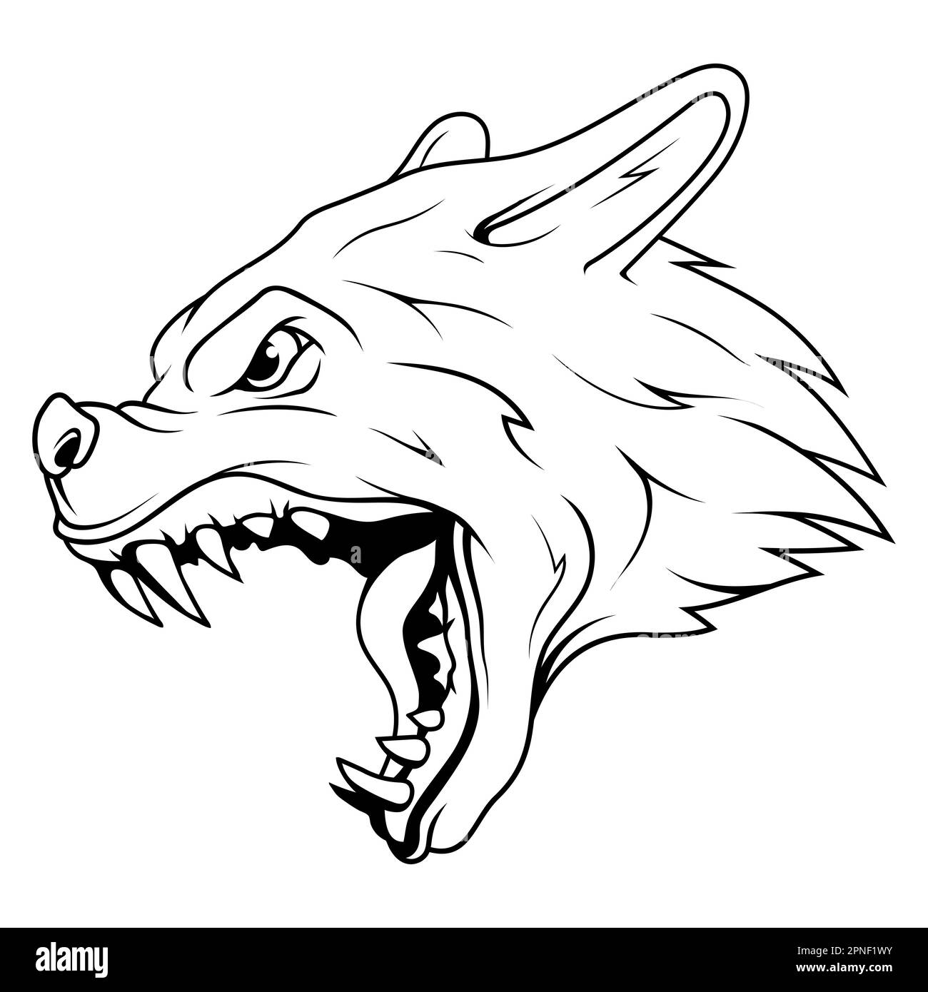 Wolf. Vector illustration of an angry animal. Sketch dog for t-shirt ...