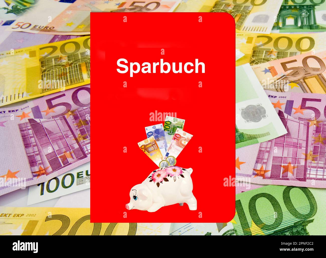 Savings bank passbook and euro banknotes, Europe Stock Photo