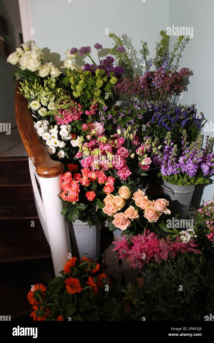 Flowers, plants and bouquets for sale at a Florists shop and floristry Workshop in Chichester, West Sussex, UK. Stock Photo