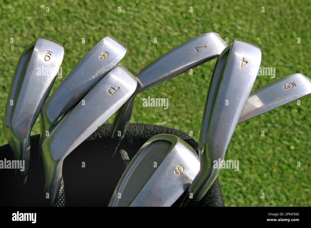 golf clubs in golf bag Stock Photo Alamy